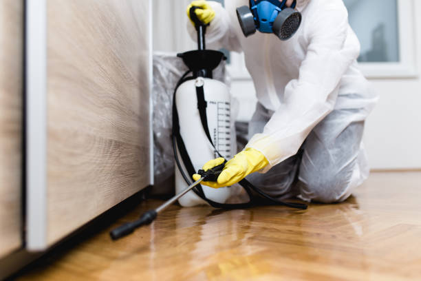Best Residential Pest Control  in Freer, TX