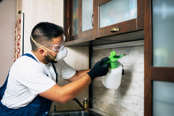 Best Mosquito Control Services  in Freer, TX