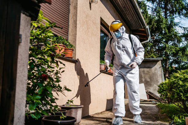 Best Pest Control Near Me in Freer, TX