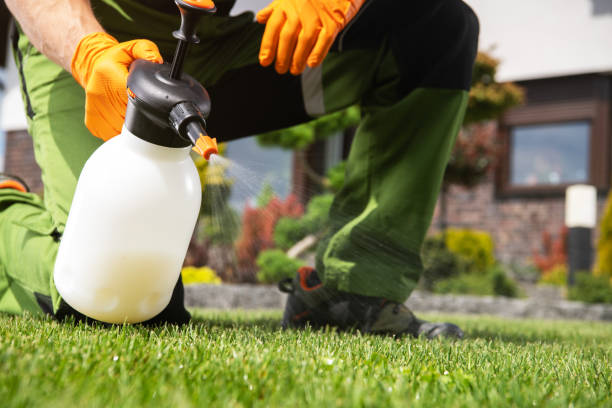 Best Affordable Pest Control Services  in Freer, TX