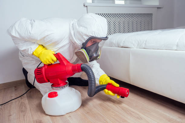 Flea Control Services in Freer, TX