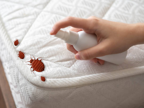 Professional Pest Control in Freer, TX