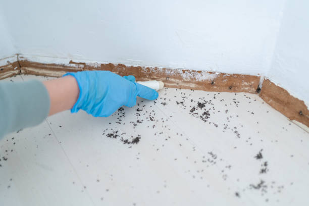 Best Best Pest Control Companies  in Freer, TX