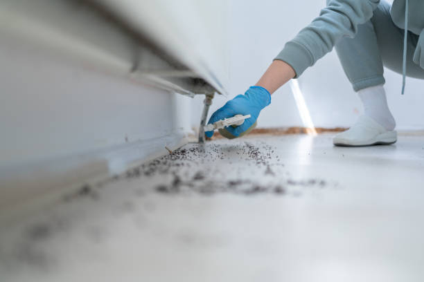 Best Pest Control for Restaurants  in Freer, TX
